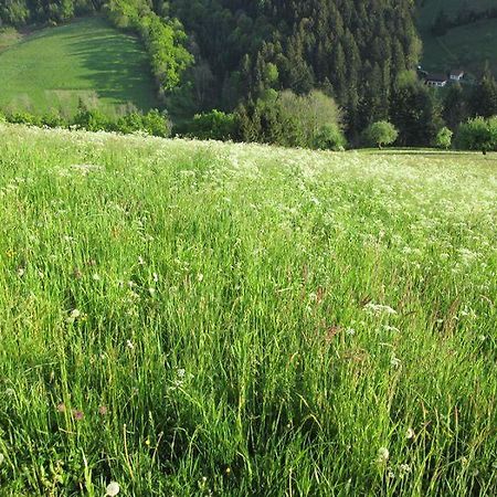 Hinterkimmighof Appartamento Oberharmersbach Esterno foto