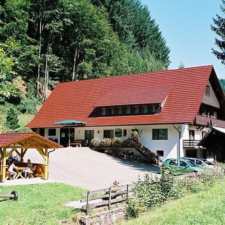 Hinterkimmighof Appartamento Oberharmersbach Esterno foto