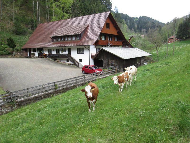 Hinterkimmighof Appartamento Oberharmersbach Esterno foto