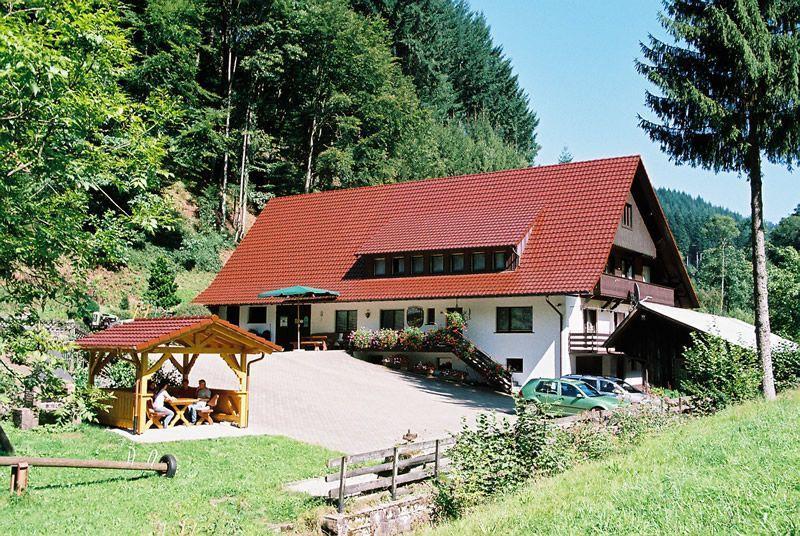 Hinterkimmighof Appartamento Oberharmersbach Esterno foto
